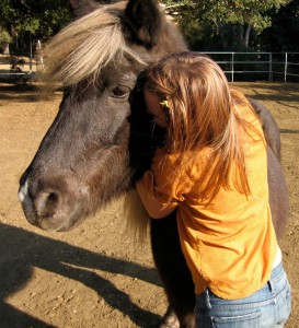 Equine Assisted Healing for Trauma