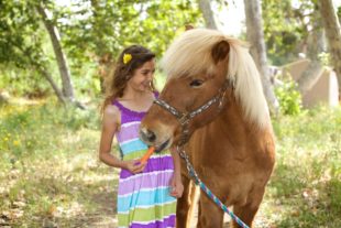 Girl giving her pony a carrot