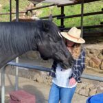 Introduction to Equine Assisted Psychotherapy Continuing Education Workshop for Clinicians